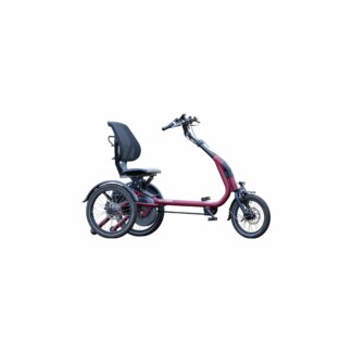 Tricycle VAE
